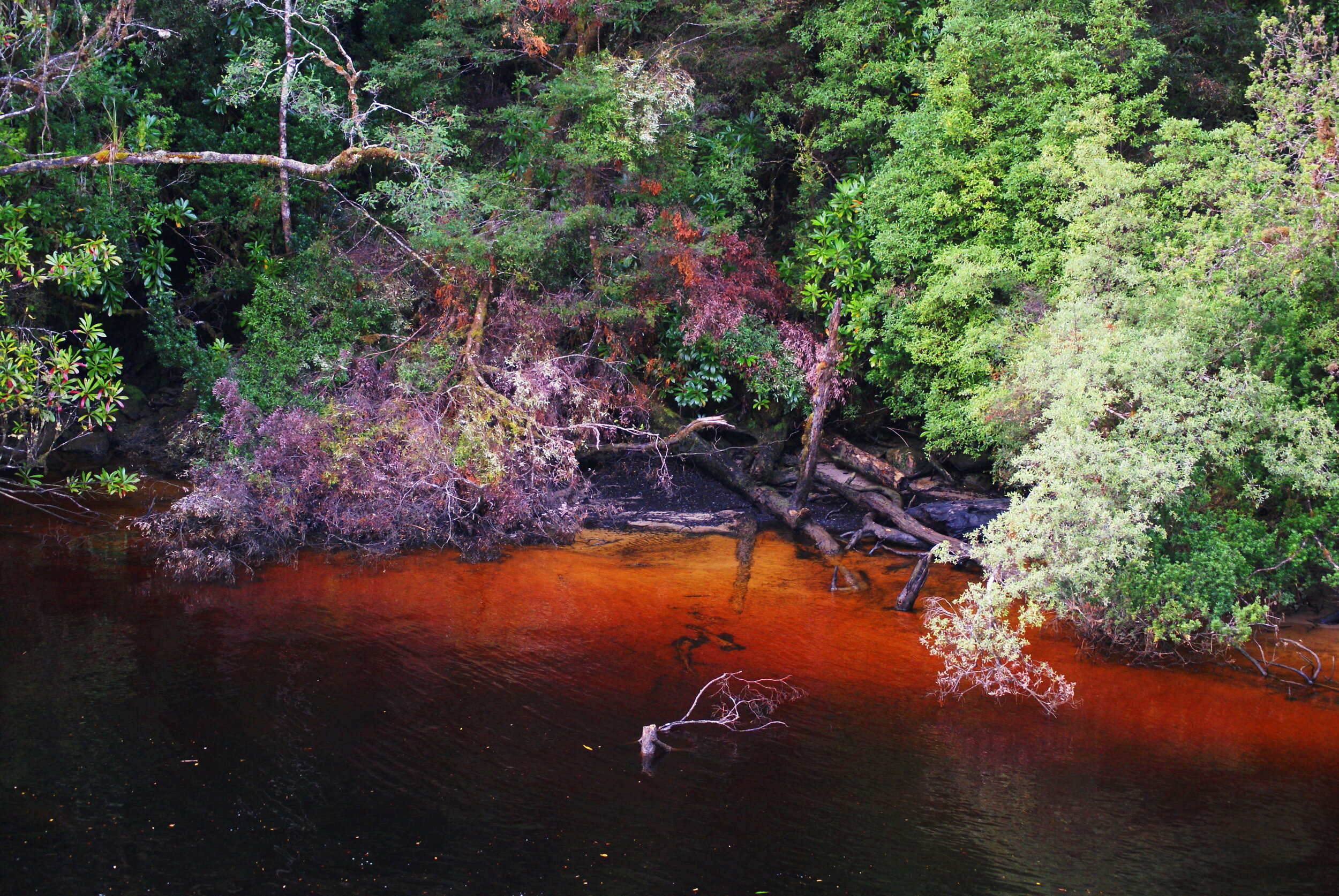 West Coast Waterways