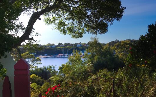 View from gardens